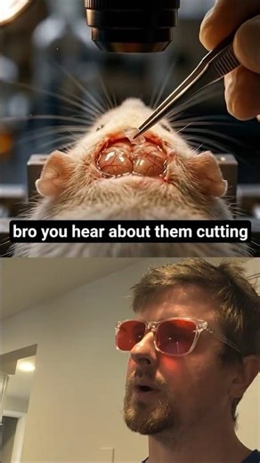 Rat Brain Experiment