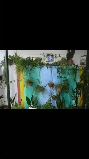 4 comments | Cascada Doña OLGA!!! | HumildeMente Gonzalito | Facebook