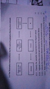 The illustration below shows the life cycle of a parasite affec... | Filo