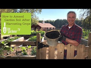Amending Garden Soil After a Crop Harvest