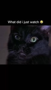 👻 interesting fact: Scary Movie 2 (2001) doubled down on the outrageous parody style of the first film by spoofing horror classics like The Haunting, The Exorcist, Poltergeist, and Hannibal. Directed by the Wayans brothers, the movie leaned heavily into absurd visual gags and shock humor, with scenes like the possessed girl parody and the infamous “strong hand” moment becoming some of the most talked-about comedy bits of the early 2000s. One fun behind-the-scenes detail is how quickly the seque