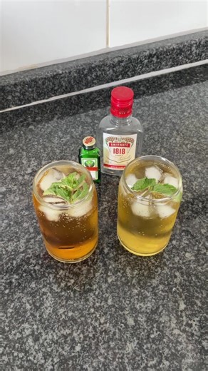 Delicious Homemade Cocktail Recipes for Students