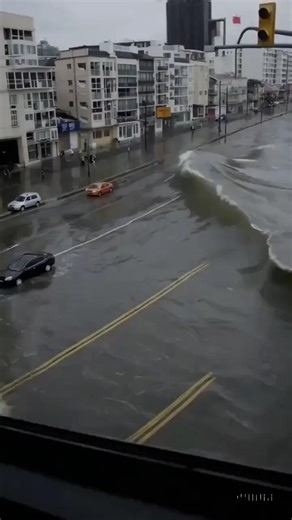 26K views · 75 reactions | Terrifying Footage Shows Tsunami Devastating Hawaiian TownWatch Full Videohttps://sciencesandnatures.com/shocking-video-captures-tsunami-wreaking-havoc-on-hawaiian-town/ | The Report Daily | Facebook