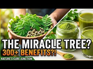 Moringa 101: Benefits, Side Effects, & How to Use the World’s Most Powerful Superfood