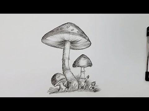 how to draw mushroom step by step