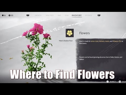Where to Find Flowers - Ghost of Yotei