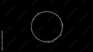 Abstract circular spinning spectral wave design, black & white. Equalizer. Aggressive vibrating spectrum circle wave form. Audio spectrum simulation for music, futuristic, ads, animation Stock Video