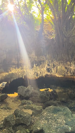 IMALU on Instagram: "初めての徳之島！ スーパーガイド @ryoheihamasaki の案内で色んな場所行けました🔥ありがとうございます〜🫡 🔽行った場所 #犬田布岬 #犬の門蓋 #きむきゅら #金見崎ソテツトンネル #ウンブキ #300年のがじゅまる"