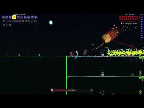 Terraria 1.4.4.9 Defeating Master Mode Twins With Melee Class