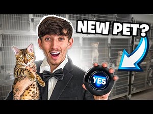 I Let A Magic 8 Ball Control My Life For 24 Hours!