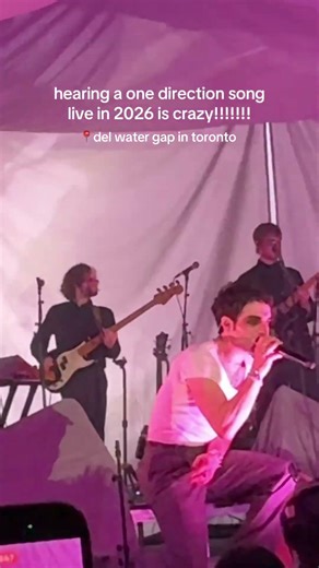 hearing one direction live in 2026 is CRAZZZZYYYY #onedirection #music #concert #toronto #livemusic