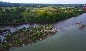 89K views · 3.7K reactions | Birds Sanctuary in Alfonso Lista Ifugao Birds watching site Tourism Alfonso lista #sanctuary #travel #birdswatching #magatriver #nature #dji too much heaven-bee gees sweetnotes live cover | Team pasaway | Facebook