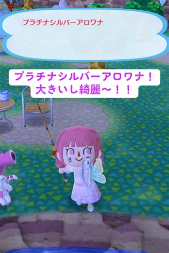 おすすめのアカウント