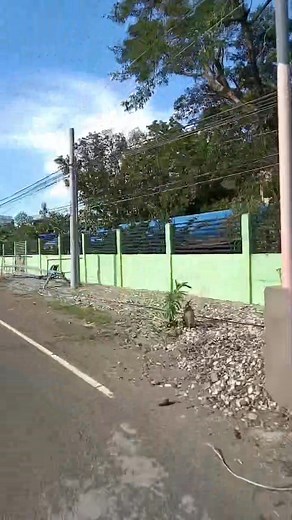 GRAVI ANG HALIT SAAMON NI BAGYONG TINO. MINI VLOG from cpsu pakadto sa amon brgy. Kasubo, gravi akon hibi sa akon nasaksihan ang natabo saamon brgy,Saakon ginikanan. GAPASALAMAT GID KO sa tanan nga nag supporta financial kag moral sa amon pamilya. #trendingreelsvideo #trendingreel #reelsviralシfb #bagyo #chubbytakrawista #viralchallenge | Reneil Jamon