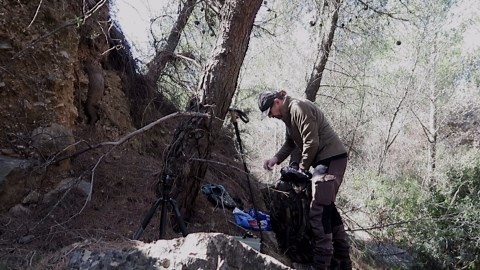 Camera trap captures notable outcome after extended setup