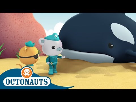 Octonauts - A Lost Whale | Cartoons for Kids | Underwater Sea Education
