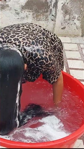 Hair wash and hair dunk trailer 😊/Royal khushii official #royalkhushiiofficial #hairdunk #hairwash