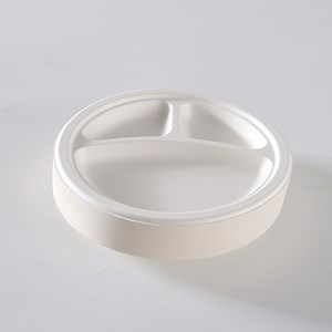 [Hot Item] 8-Inch Three-Compartment Biodegradable Food Container Tray