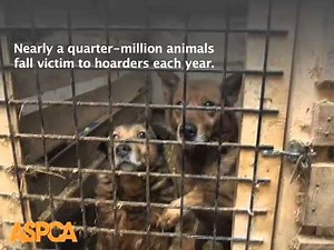 ASPCA Rescues Hundreds of Dogs from Ohio Hoarder