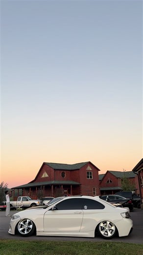 Baby Bird Takes First Flight: A Heartwarming POV