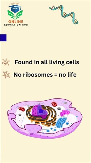 online science classes