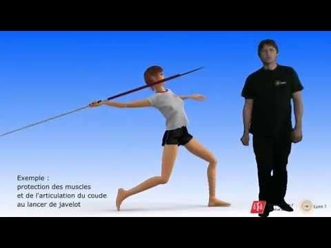 Réflexe myotatique (vidéo sonorisée)