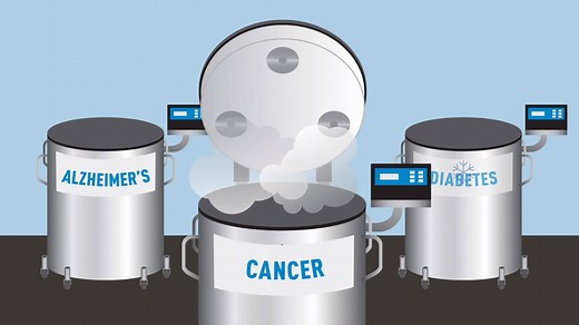 JAX helps researchers around the world protect their valuable research mice. Using sperm and embryo cryopreservation and advanced recovery technologies, JAX has successfully cryopreserved and recovered over 22,000 strains of diverse genetic backgrounds. https://www.jax.org/jax-mice-and-services/cryo-and-strain-donation | The Jackson Laboratory