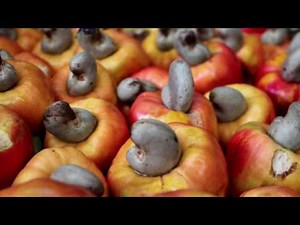 Caju - beneficii | Traieste Gateste cu Dragoste