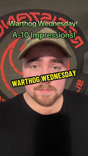 A-10 Warthog Impressions: Fun and Engaging Showcase