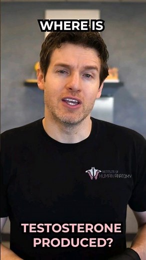 Where is Testosterone Produced?