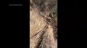 104K views · 429 reactions | Wildfires burn out of control across Los Angeles area and kill 5 as thousands flee homes Read the latest: https://www.pressdemocrat.com/article/news/california-governor-says-pacific-palisades-wildfire-has-destroyed-many-stru/ | Press Democrat | Facebook