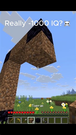 Really -1000 IQ?☠️ Minecraft Java Edition