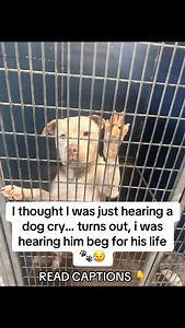 9.3K views · 936 reactions | You’re not gonna believe what happened…...