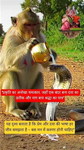 🙏 #करुणा #प्रकृति_का_चमत्कार #शिवभक्ति #प्रेम_और_मानवता #Inspiration #Humanity