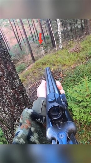 Deer Hunt with 12bore unforgettable shot#hunthowdown#hunting#deerhunt#airsoft#huntgear