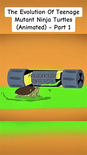 The Evolution Of Teenage Mutant Ninja Turtles (Animated) - Part 1 #animated #animation #tmnt #cartoon