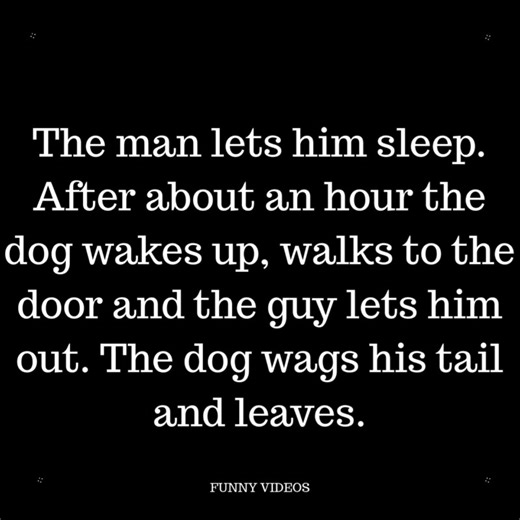AN OLD TIRED LOOKING DOG WANDERS INTO A GUY'S YARD. | Funny Videos