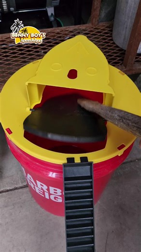 Fastest Rodent Removal Solutions