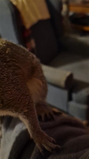 1K views · 52 reactions | Duncan Craig on Reels | Facebook