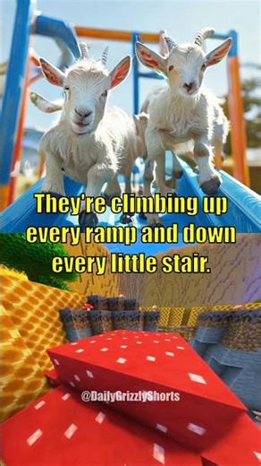 OMG! Baby Goats Playground Fun! You WON'T BELIEVE! 🐐💖