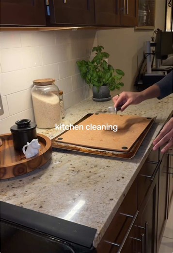 Kitchen Cleaning Tips for a Fresh Home