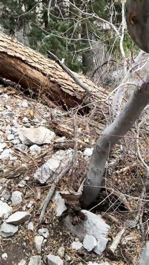 Virtual Reality Hiking Fletcher Canyon’s Water Polished Walls #scrambling #hiking