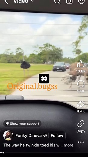 Keith Johnson on Reels