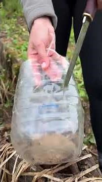 This Girl Will Teach You How to Survive – Bushcraft & Wilderness Skills