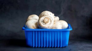 How To Keep Mushrooms Fresh: Simple Tips And Tricks To Follow