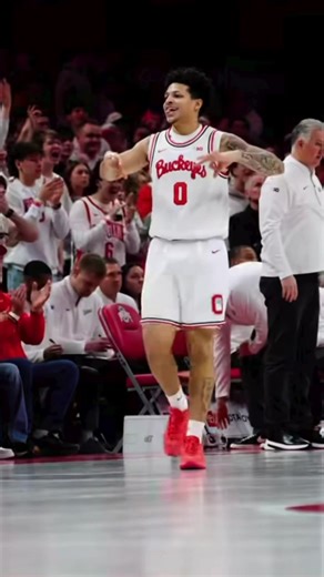 Ohio State College Baseball Team's March Madness Journey