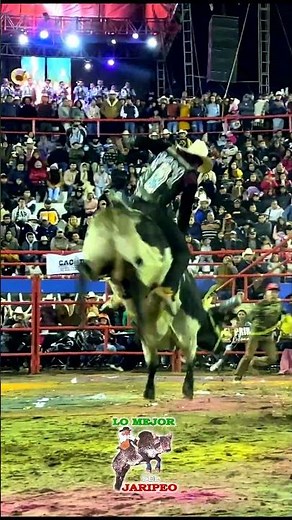 Mosca de Jalisco vs Cachito de Rancho El Principio #jaripeo