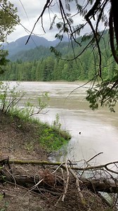 15K views · 115 reactions | May 31 - Current conditions Fraser Canyon near Yale as the river has come up 8 feet in the past 2 days. #johnnyout | Great River Fishing Adventures | Facebook