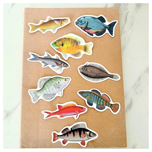 Fish Sticker Pack, Fishing Decals, Freshwater & Saltwater Fish Stickers, Realistic Aquatic Animal Sticker Set, Tackle Box Gift - Etsy