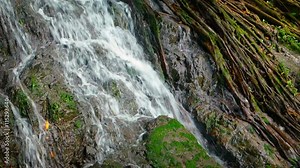 Beautiful and peaceful, natural waterfall, tumbling over mossy rocks and amongst surface tree roots in a tropical wilderness in Southeast Asia, with sound.